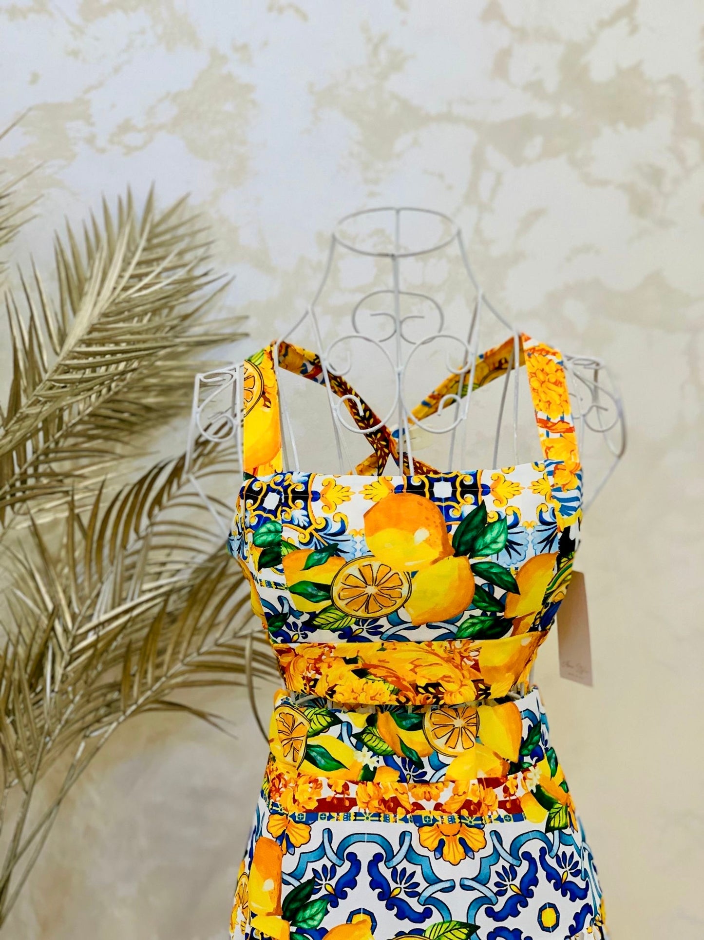 Compleu cu fructe Lemon